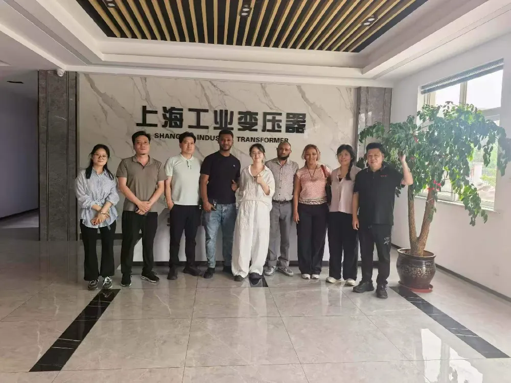 Herzlich Willkommen! Äthiopische Delegation besucht Shanghai Industrial Transformer Co., Ltd. zum Austausch über Transformatoren und Stromverteilungsausrüstung